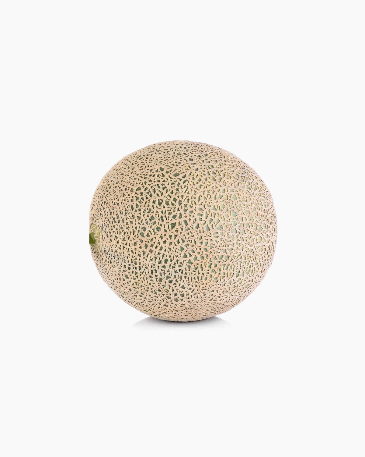 Cantaloupe