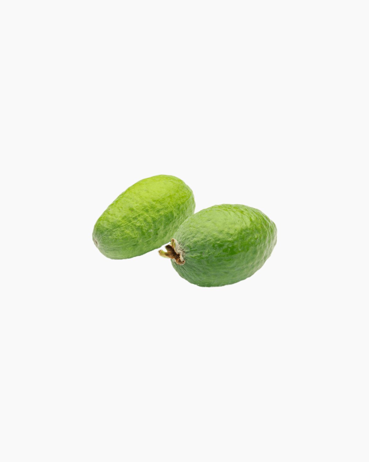 Feijoa