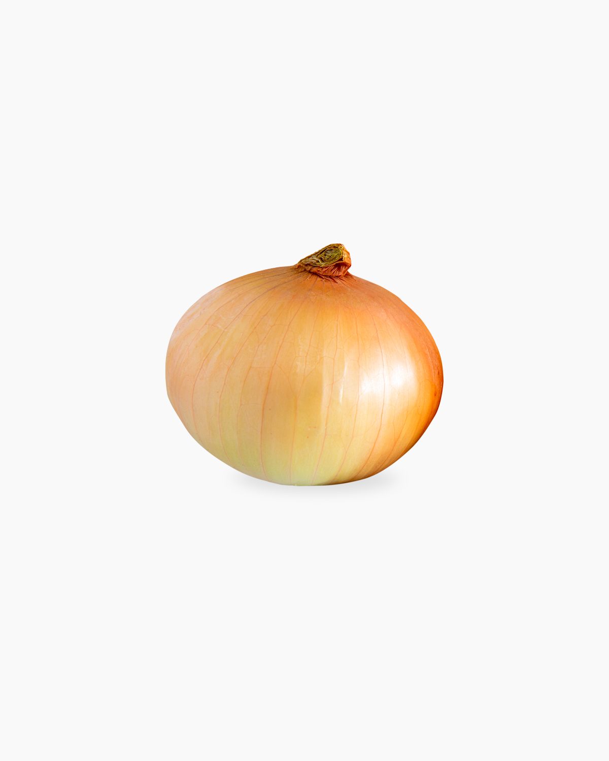 Onion